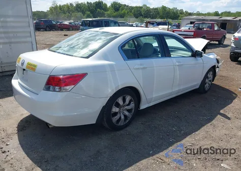 2010 Honda Accord 2.4 Ex-L from USA, damaged, VIN 1HGCP2F80AA125434